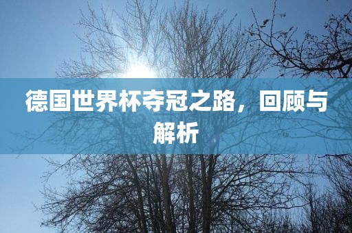 德国世界杯夺冠之路，回顾与解析