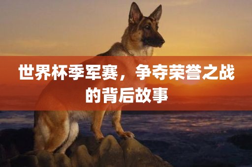 世界杯季军赛，争夺荣誉之战的背后故事漯河市盈旭机械设备有限公司