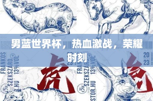 男蓝世界杯，热血激战，荣耀时刻