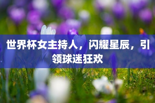 世界杯女主持人，闪耀星辰，引领球迷狂欢
