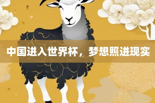 中国进入世界杯，梦想照进现实