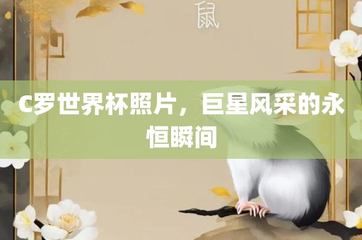 C罗世界杯照片，巨星风采的永恒瞬间