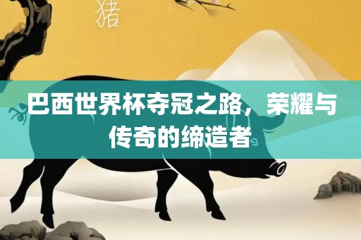 巴西世界杯夺冠之路，荣耀与传奇的缔造者