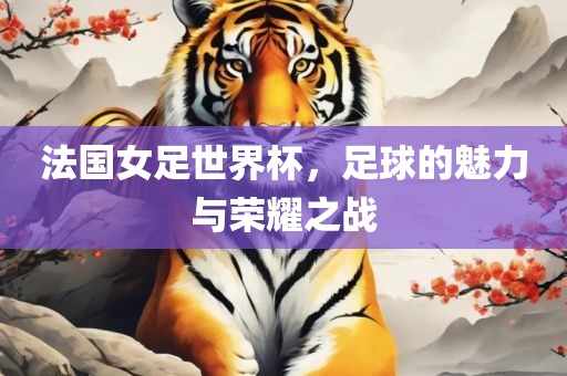 法国女足世界杯，足球的魅力与荣耀之战