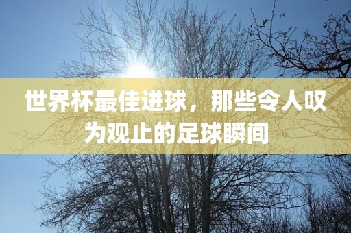 世界杯最佳进球，那些令人叹为观止的足球瞬间
