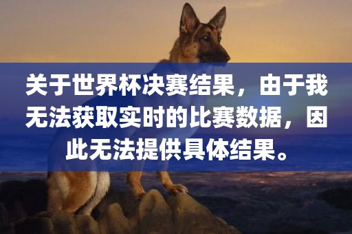 关于世界杯决赛结果，由于我无法获取实时的比赛数据，因此无法提供具体结果。