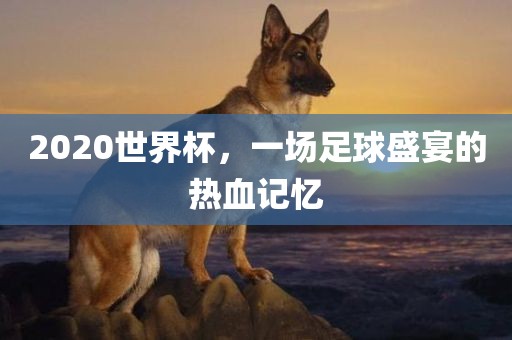 202漯河市盈旭机械设备有限公司0世界杯，一场足球盛宴的热血记忆