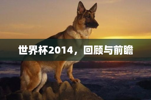 世界杯2014，回顾与前瞻