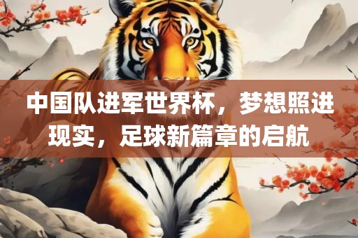 中国队进军世界杯，梦想照进现实，漯河市盈旭机械设备有限公司足球新篇章的启航