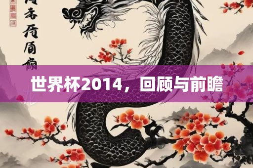 世界杯2014，回顾与前瞻