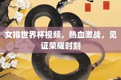 女排世界杯视频，热血激战，见证荣耀时刻