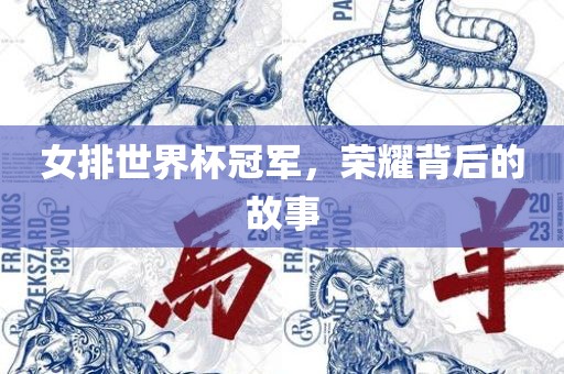 女排世界杯冠军，荣耀背后的故事