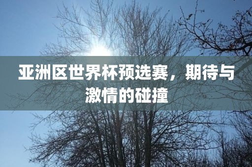 亚洲区世界杯预选赛，期待与激情的碰撞