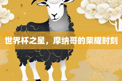 世界杯之星，摩纳哥的荣耀时刻