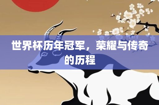 世界杯历年冠军，荣耀与传奇的历程