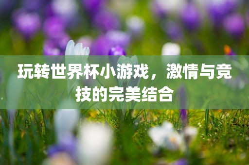 玩转世界杯小游戏，激情与竞技的完美结合