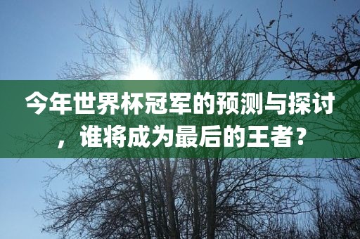 今年世界杯冠军的预测与探讨，谁将成为最后的王者？