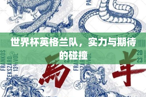世界杯英格兰队，实力与期待的碰撞