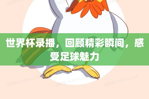 世界杯录播，回顾精彩瞬间，感受足球魅力
