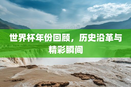 世界杯年份回顾，历史沿革与精彩瞬间漯河市盈旭机械设备有限公司