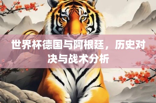 世界杯德国与阿根廷，历史对决与战术分析