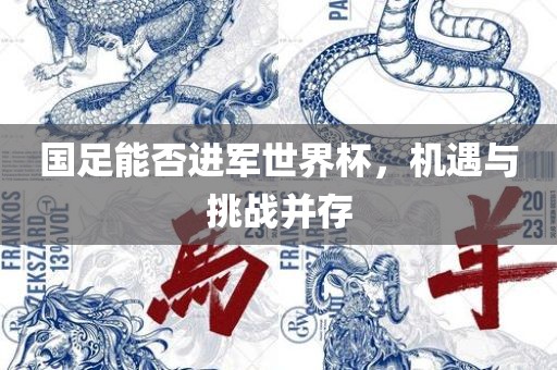 国足能否进军世界杯，机遇与挑战并存漯河市盈旭机械设备有限公司