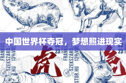 中国世界杯夺冠，梦想照进现实