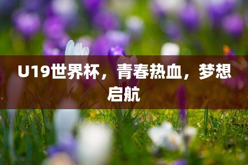U19世界杯，青春热血，梦想启航漯河市盈旭机械设备有限公司