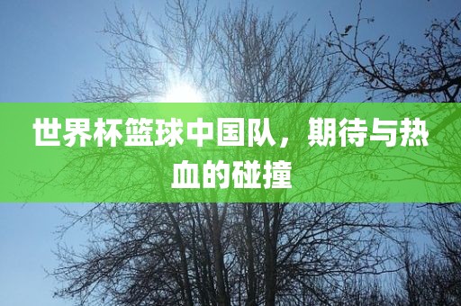 世界杯篮球中国队，期待与热血的碰撞