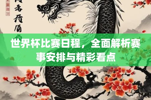 世界杯比赛日程，全面解析赛事安排与精彩看点