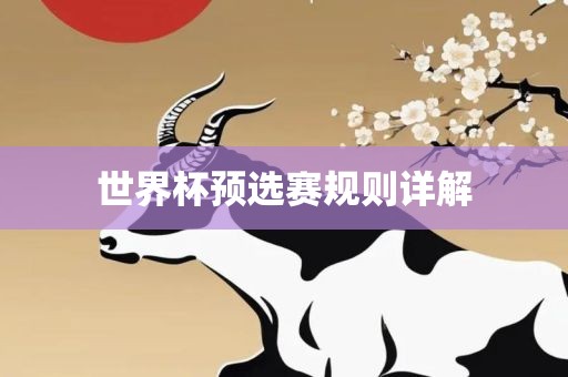 世界杯预选赛规则详解