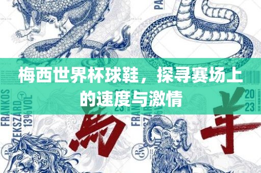 梅西世界杯球鞋，探寻赛场上的速度与激情