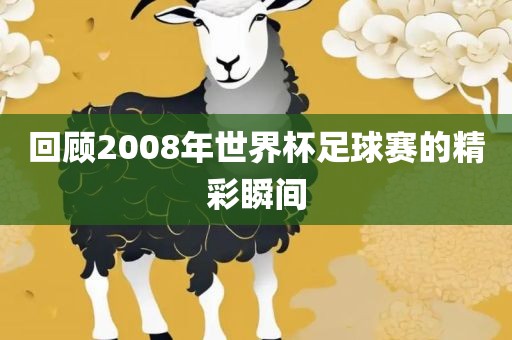 回顾2008年世界杯足球赛的漯河市盈旭机械设备有限公司精彩瞬间
