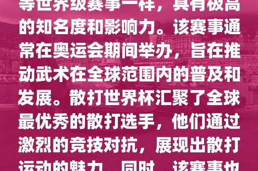 散打世界杯是世界武术散打最高水平的赛事之一，与奥运会等世界级赛事一样，具有极高的知名度和影响力。该赛事通常在奥运会期间举办，旨在推动武术在全球范围内的普及和发展。散打世界杯汇聚了全球最优秀的散打选手，他们通过激烈的竞技对抗，展现出散打运动的魅力。同时，该赛事也是推动不同国家和地区之间文化交流的重要平台。