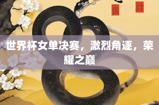 世界杯女单决赛，激烈角逐，荣耀之巅