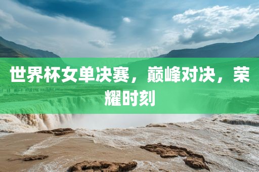 世界杯女单决赛，巅峰对决，荣耀时刻