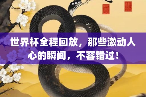 世界杯全程回放，那些激动人心的瞬间，不容错过！