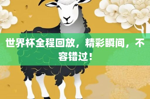 世界杯全程回放，精彩瞬间，不容错过！