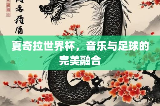 音乐与足球的融合 第2页