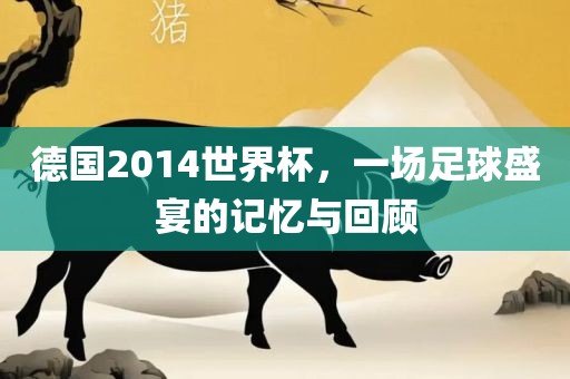 德国2014世界杯，一场足球盛宴的记忆与回顾
