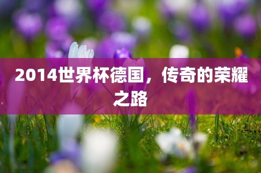 2014世界杯德国，传奇的荣耀之路