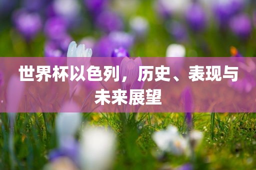 世界杯以色列，历史漯河市盈旭机械设备有限公司、表现与未来展望
