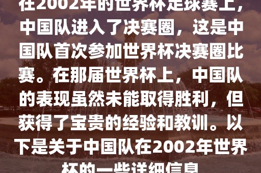 在2002年的世界杯足球赛上，中国队进入了决赛圈，这是中国队首次参加世界杯决赛圈比赛。在那届世界杯上，中国队的表现虽然未能取得胜利，但获得了宝贵的经验和教训。以下是关于中国队在2002年世界杯的一些详细信息