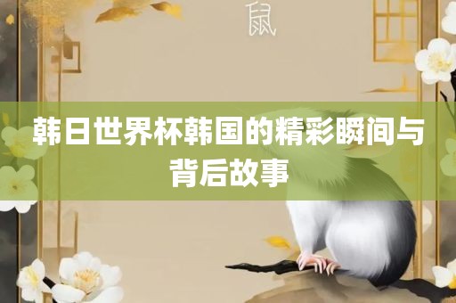 韩日世界杯韩国的精彩瞬间与背后故事
