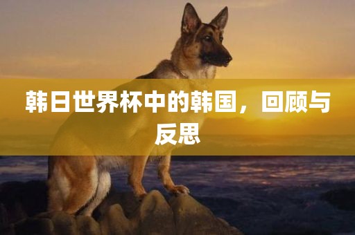 韩日世界杯中的韩国，回顾与反思