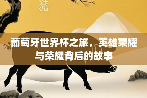 葡萄牙世界杯之旅，英雄荣耀与荣耀背后的故事