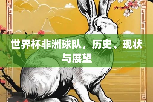 世界杯非洲球队，历史、现状与展望