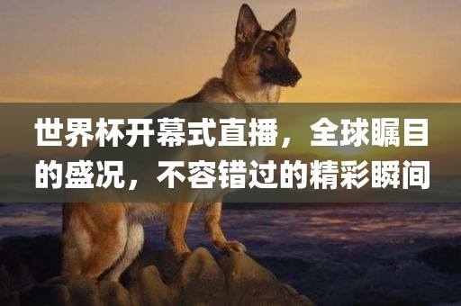 世界杯开幕式直播，全球瞩目的盛况，不容错过的精彩瞬间