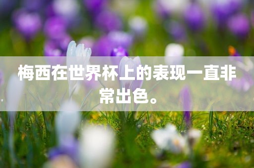 梅西在世界杯上的表现一直非常出色。漯河市盈旭机械设备有限公司