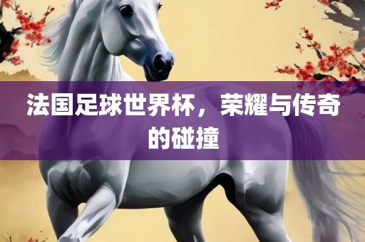 法国足球世界杯，荣耀与传奇的碰撞